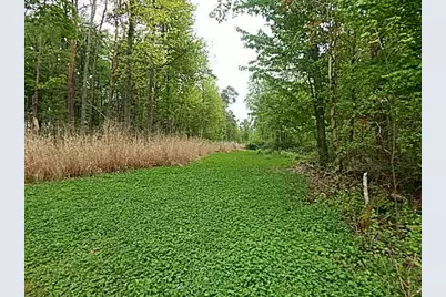 15252 27 Mile Road, Albion, MI 49224 - Photo 16