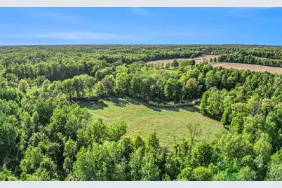 15252 27 Mile Road, Albion, MI 49224 - Photo 2