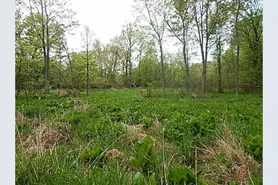 15252 27 Mile Road, Albion, MI 49224 - Photo 36