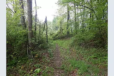 15252 27 Mile Road, Albion, MI 49224 - Photo 38