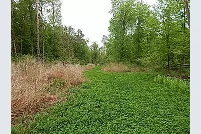 15252 27 Mile Road, Albion, MI 49224 - Photo 26