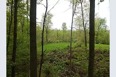 15252 27 Mile Road, Albion, MI 49224 - Photo 44