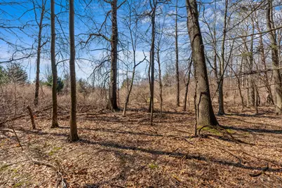 15252 27 Mile Road, Albion, MI 49224 - Photo 102