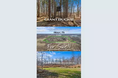 15252 27 Mile Road, Albion, MI 49224 - Photo 48