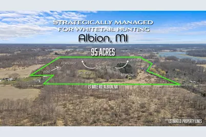 15252 27 Mile Road, Albion, MI 49224 - Photo 1