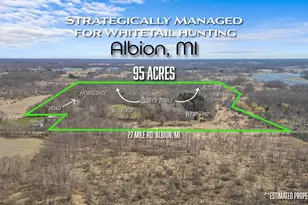 15252 27 Mile Rd, Albion, MI 49224 - Photo 1