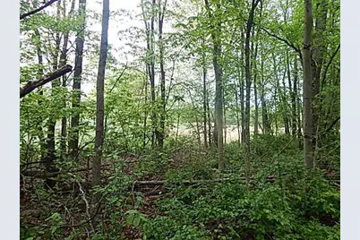 15252 27 Mile Road, Albion, MI 49224 - Photo 46
