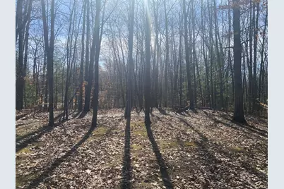 9019 John Street, Mecosta, MI 49332 - Photo 2