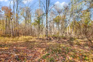 8558 Monterey Dr, Evart, MI 49631 - Photo 136