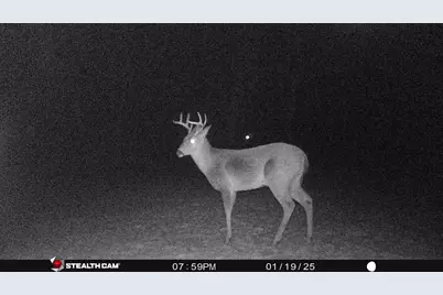 8558 Monterey  Dr, Evart, MI 49631 - Photo 84