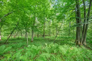 8558 Monterey Dr, Evart, MI 49631 - Photo 34