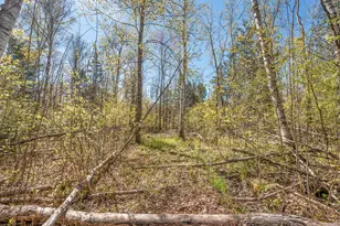 8558 Monterey Dr, Evart, MI 49631 - Photo 128