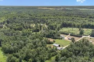 8558 Monterey Dr, Evart, MI 49631 - Photo 56