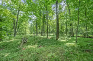 8558 Monterey Dr, Evart, MI 49631 - Photo 40