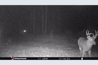 8558 Monterey  Dr, Evart, MI 49631 - Photo 82