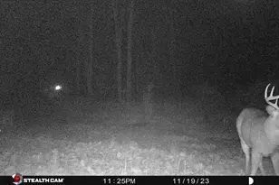 8558 Monterey Dr, Evart, MI 49631 - Photo 82