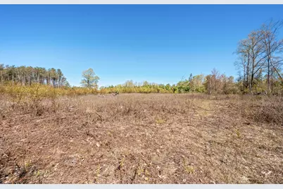 8558 Monterey  Dr, Evart, MI 49631 - Photo 134