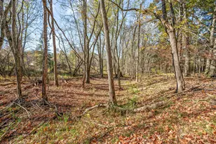 8558 Monterey Dr, Evart, MI 49631 - Photo 112