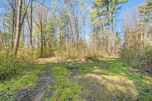 8558 Monterey Dr, Evart, MI 49631 - Photo 108