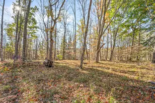 8558 Monterey Dr, Evart, MI 49631 - Photo 110