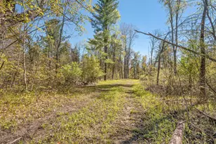 8558 Monterey Dr, Evart, MI 49631 - Photo 118