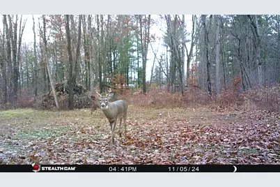 8558 Monterey  Dr, Evart, MI 49631 - Photo 76