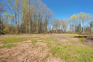 8558 Monterey Dr, Evart, MI 49631 - Photo 90