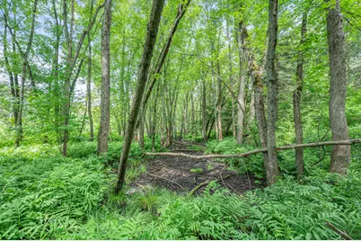 8558 Monterey  Dr, Evart, MI 49631 - Photo 38