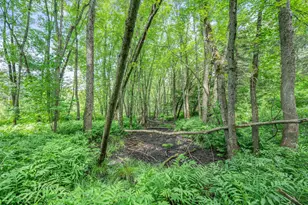 8558 Monterey Dr, Evart, MI 49631 - Photo 38