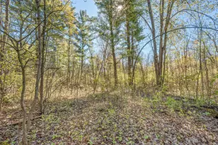 8558 Monterey Dr, Evart, MI 49631 - Photo 110