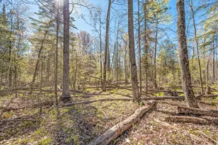 8558 Monterey Dr, Evart, MI 49631 - Photo 130