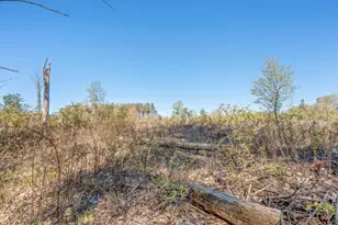 8558 Monterey Dr, Evart, MI 49631 - Photo 132