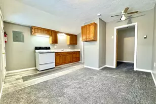 46 Grove St, Galesburg, MI 49053 - Photo 4