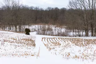 8475 Gurd Rd, Dowling, MI 49050 - Photo 72