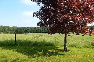 8475 Gurd Rd, Dowling, MI 49050 - Photo 48