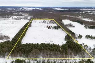 8475 Gurd Rd, Dowling, MI 49050 - Photo 56