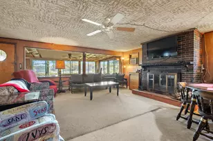 11131 Co Rd 215, Grand Junction, MI 49056 - Photo 18