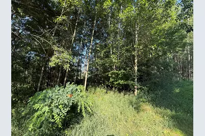 Tbd W Royal Road #2, Stanwood, MI 49346 - Photo 4