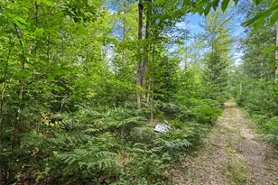 180 E Sanborn Rd, Lake City, MI 49651 - Photo 34