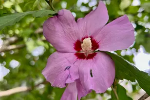 72 E Grand Ave, Muskegon, MI 49442 - Photo 56