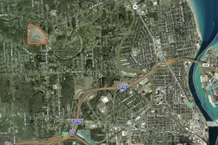 3345 Beach Rd, Port Huron, MI 48060 - Photo 22