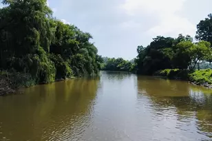 3345 Beach Rd, Port Huron, MI 48060 - Photo 34