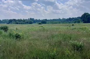 3345 Beach Rd, Port Huron, MI 48060 - Photo 48