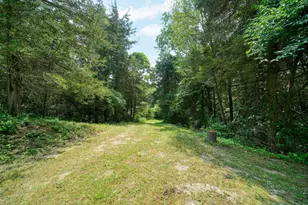 10525 Antcliff Rd, Brooklyn, MI 49230 - Photo 60