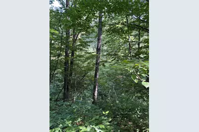 3628 Indian Trail Crossing, Hersey, MI 49639 - Photo 2