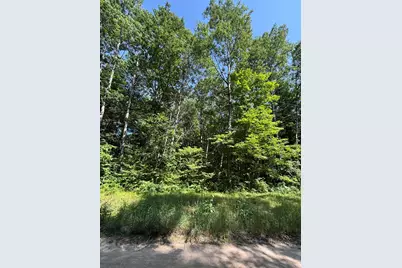 3628 Indian Trail Crossing, Hersey, MI 49639 - Photo 4