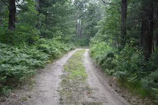 2350 S Burke Cir, Baldwin, MI 49304 - Photo 24