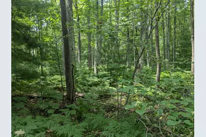 V/L Caberfae Highway, Manistee, MI 49660 - Photo 6