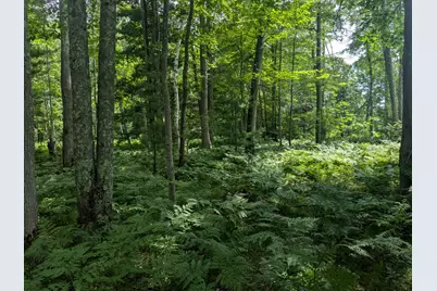 V/L Caberfae Highway, Manistee, MI 49660 - Photo 4