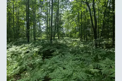 V/L Caberfae Highway, Manistee, MI 49660 - Photo 8